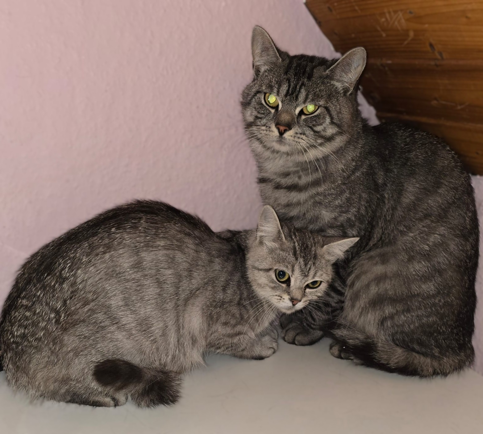 Oskar und Olivia
