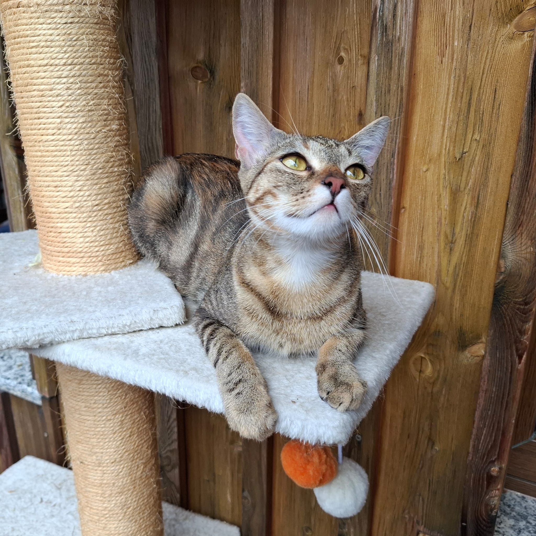Ruby – RESERVIERT